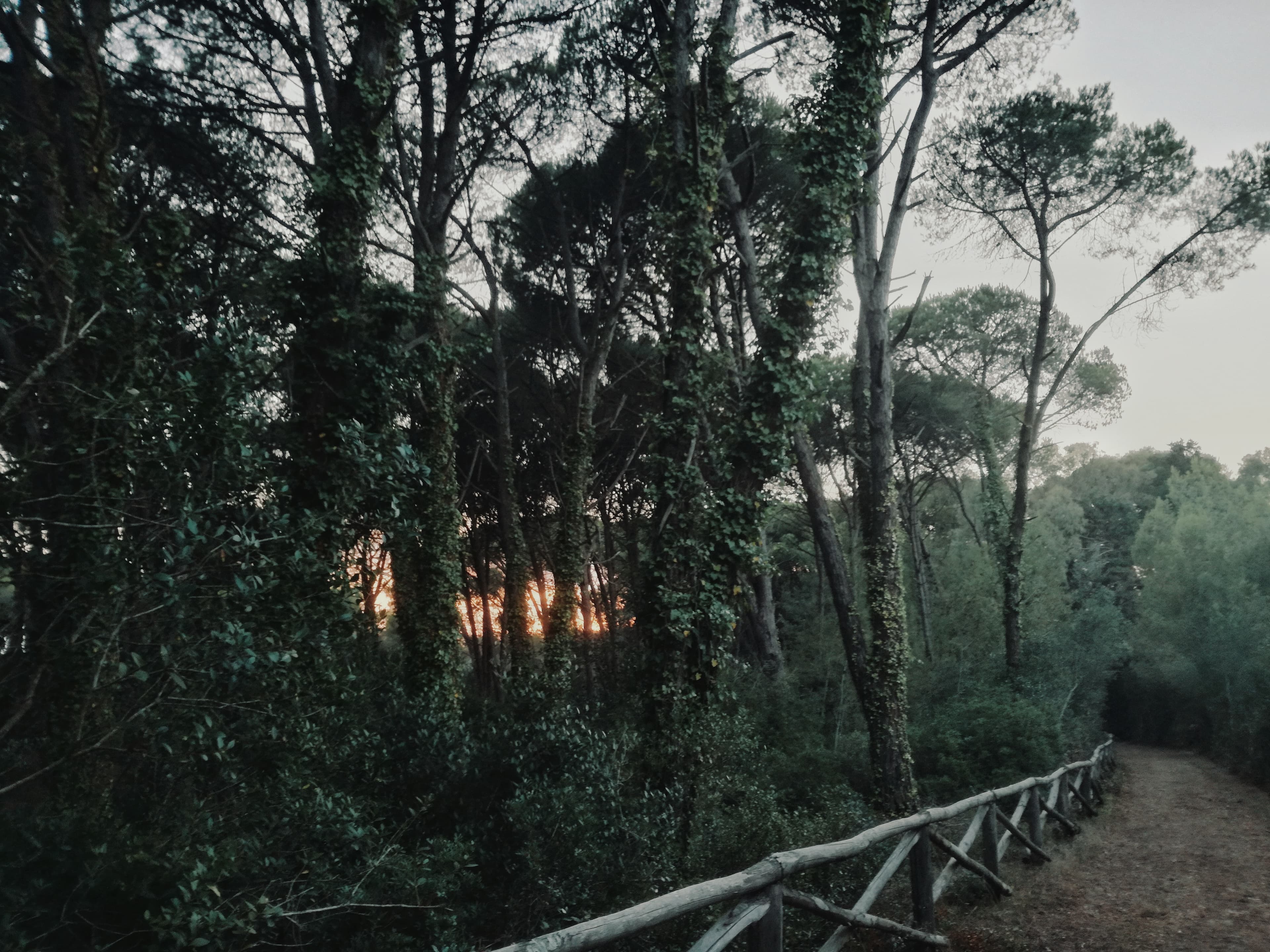 Le Cesine - Immagine 5