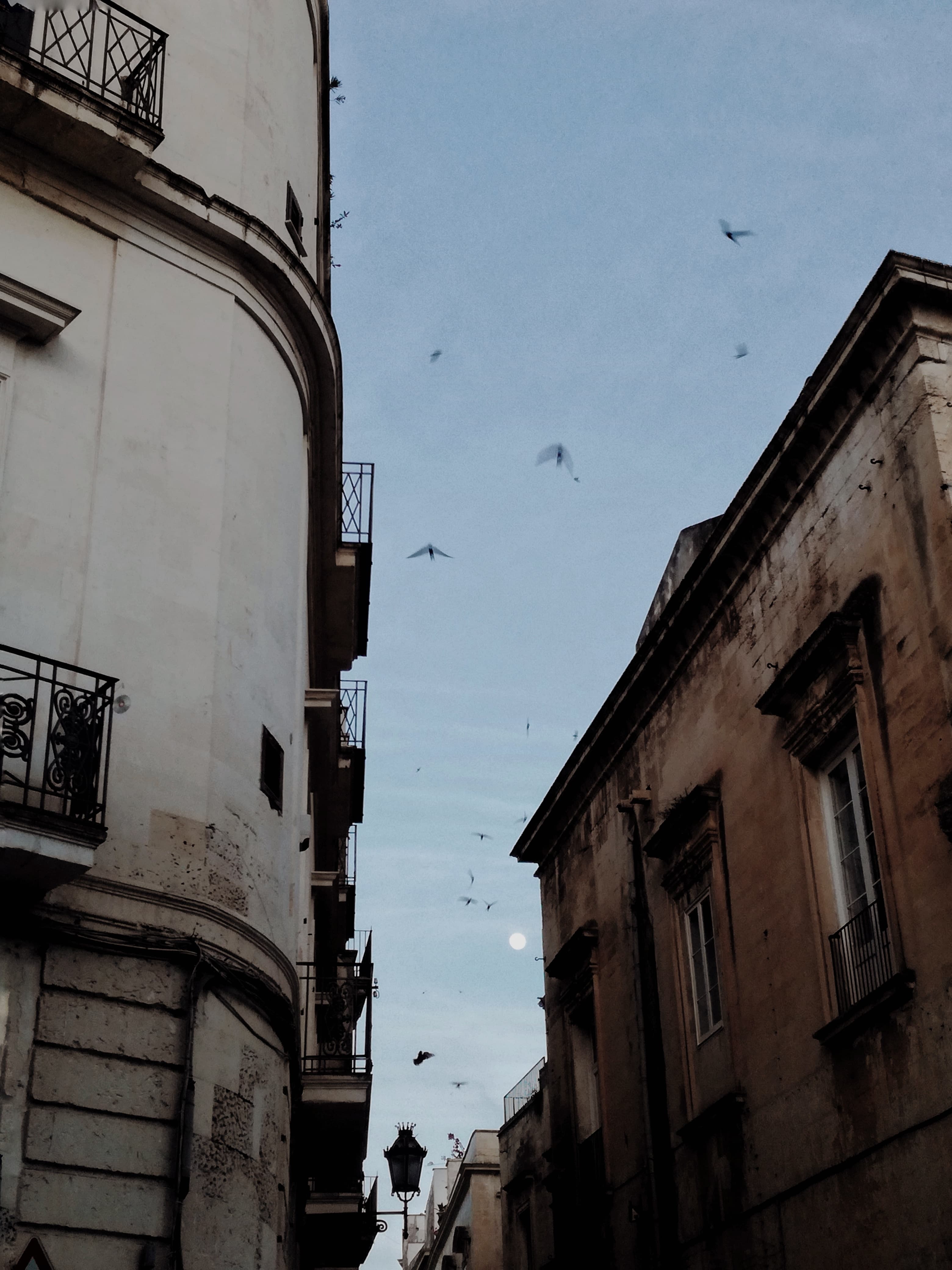 10 borghi salentini da visitare - Immagine 3