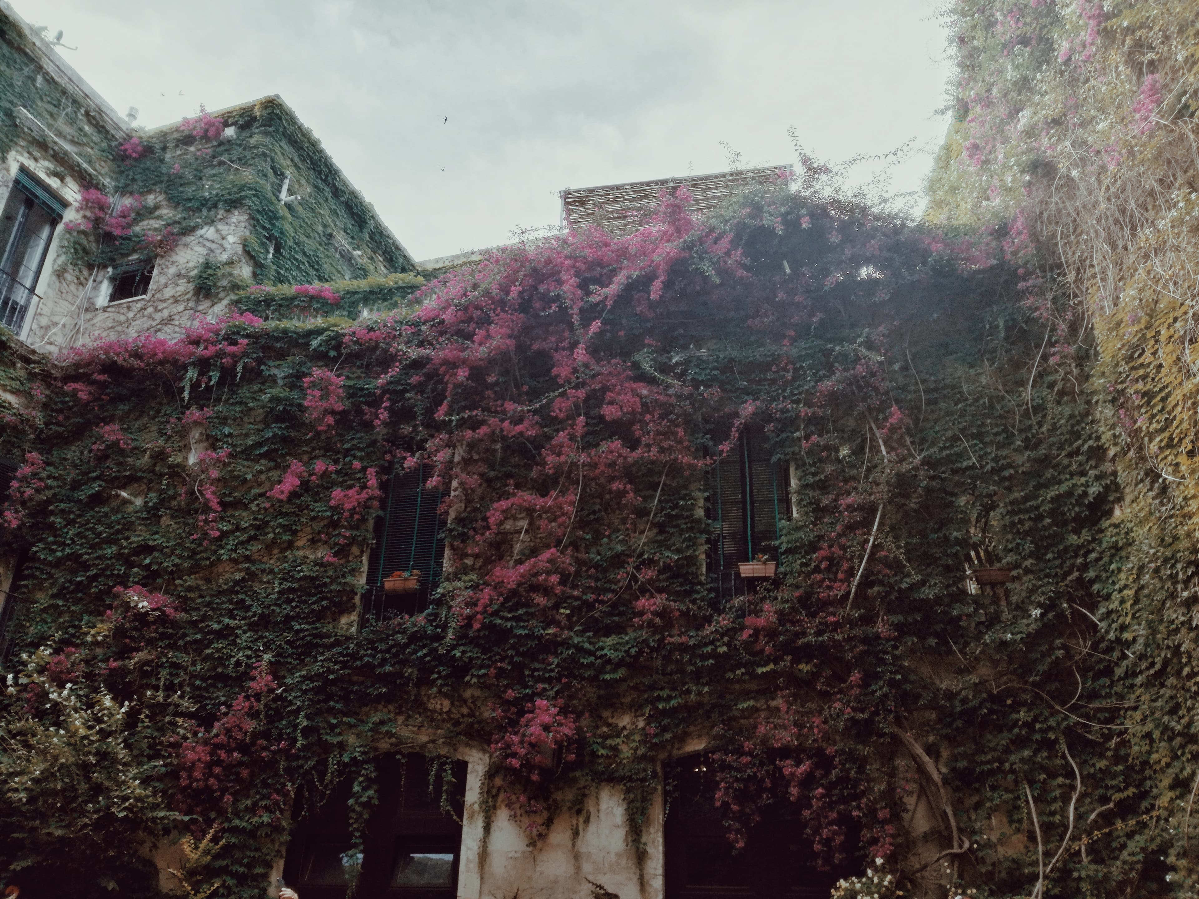 Centro Storico - Immagine 4