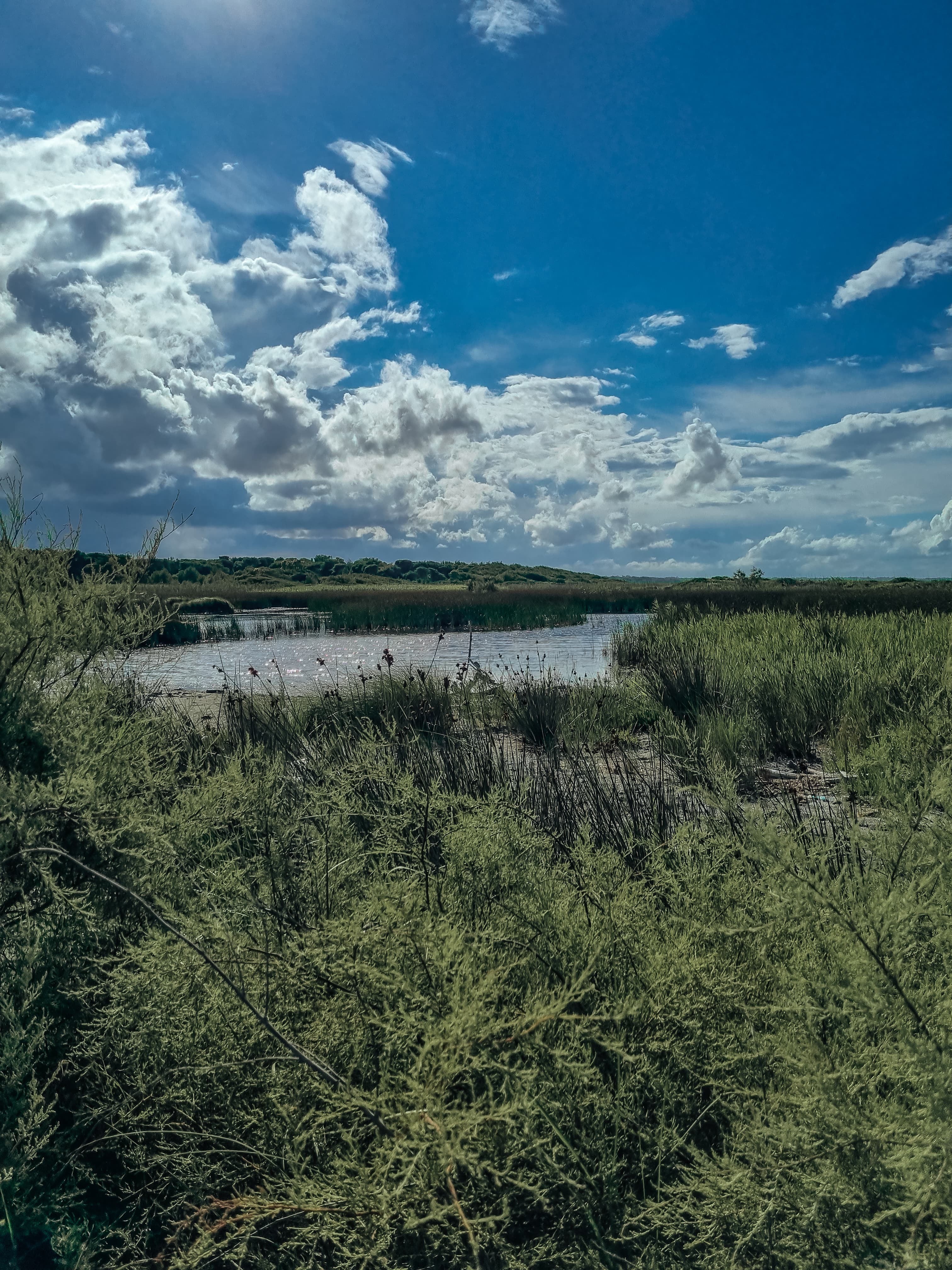 Le Cesine - Immagine 3