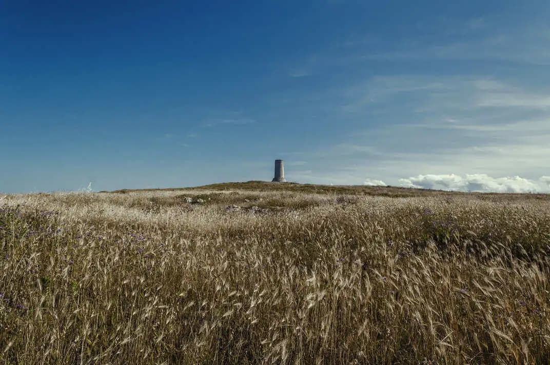 torre del serpe